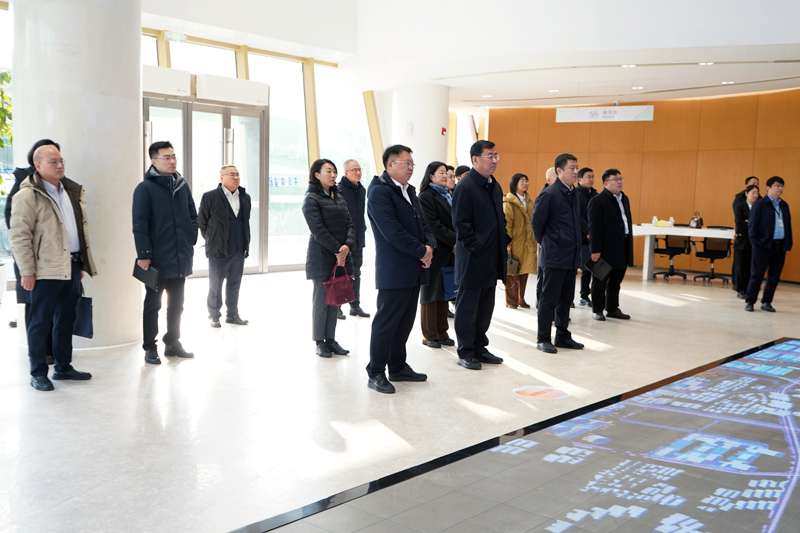 DSC00951.jpg DSC00951.jpg